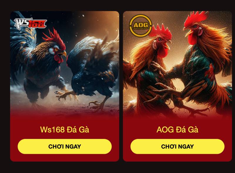 Go99 – Cổng Game Đổi Thưởng Top 1 Châu Á - Đăng Ký Go 99 +99K 8 Đá Gà - Sức nóng từ những trường gà quốc tế